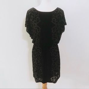 White House black market velvet dress small